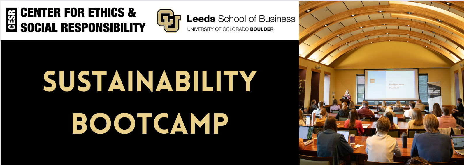 sustainability bootcamp