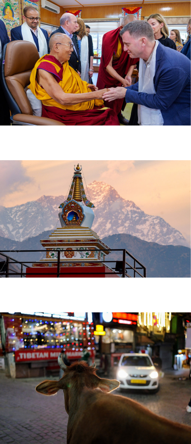 Collage of images from India