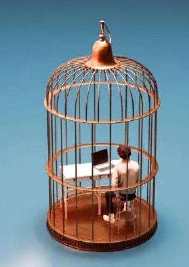 Working in a bird cage