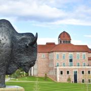 A buffalo statue appears in the foreground with the Koelbel Building in the background. 