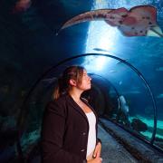 Emma Pearson stands in the Denver Aquarium as fish and rays swim by.