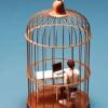 Working in a bird cage