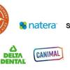 ESG consulting class works with local companies