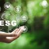 image displaying the meaning of ESG