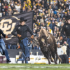 Sloan Hurley and other Ralphie Handlers run across Folsom Field with Ralphie.