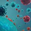 News image of Covid virus