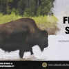 Flyer for Green Finance Summit
