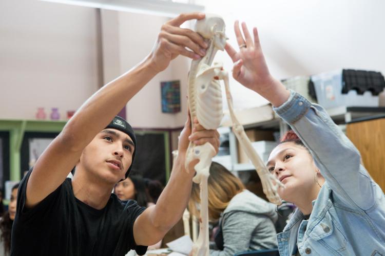 Students in Skyline High School’s Education and Community Health Pathway sculpt a clay model of the endocrine system. Photo by Allison Shelley/The Verbatim Agency for EDUimages