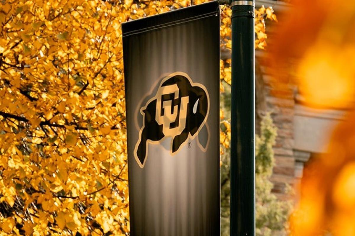 CU Flag