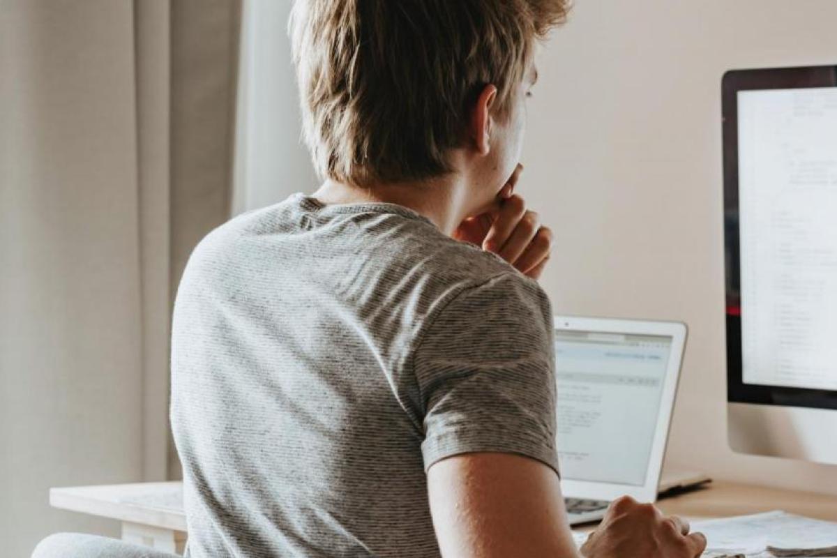 person looking at a computer