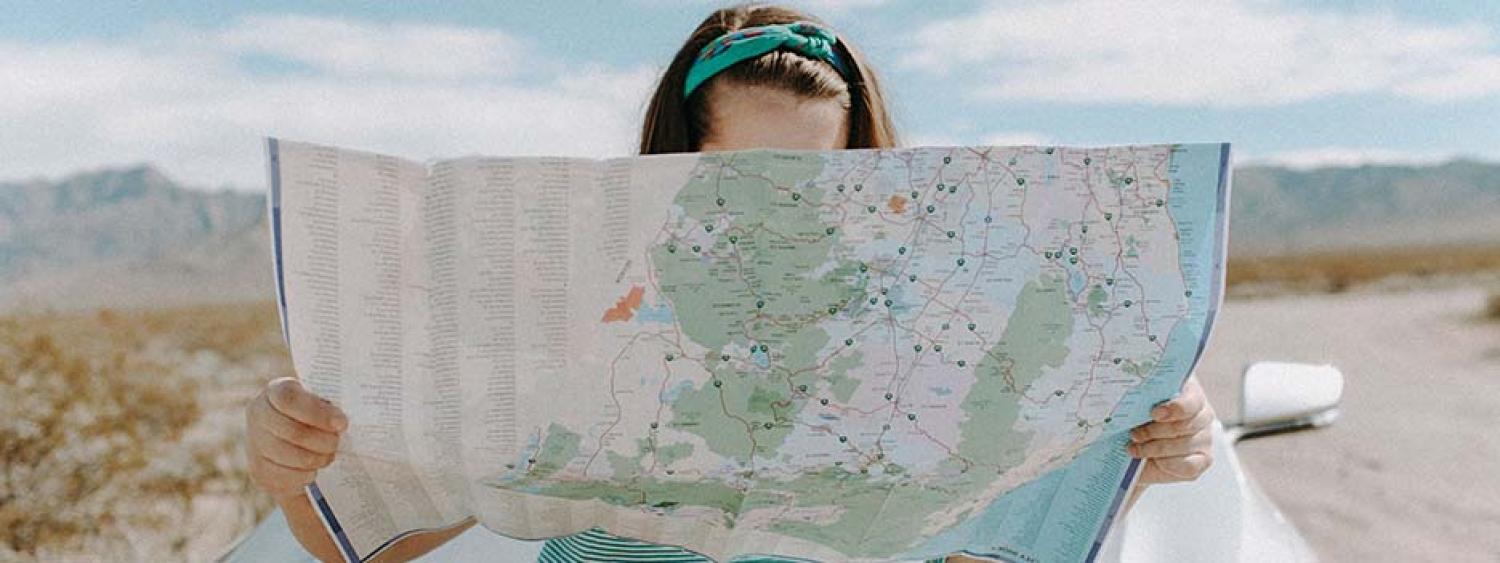 person looking at a map