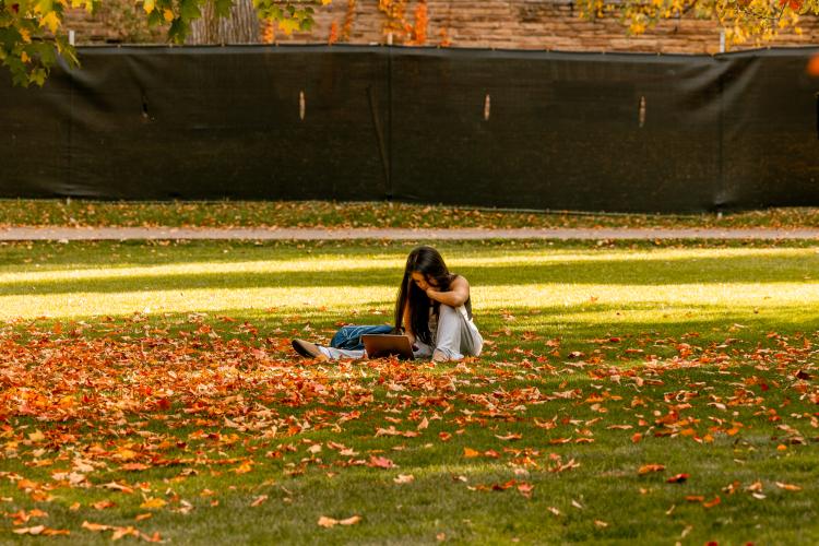 A student studying on the lawn