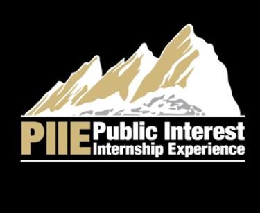 Public Interest Internship Experience