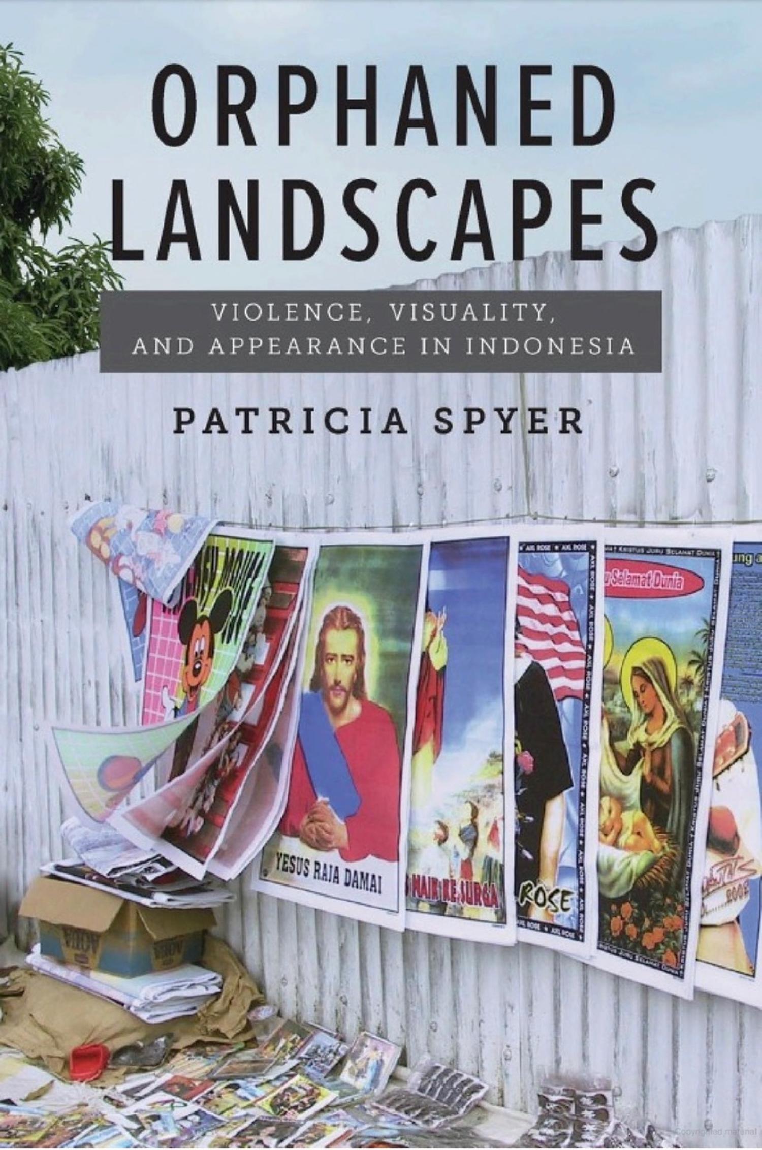 book cover Orphaned Landscapes by Patricia Spyer