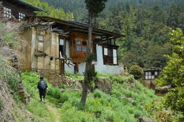 Ariana Maki Field Research Burma Bhutan 3