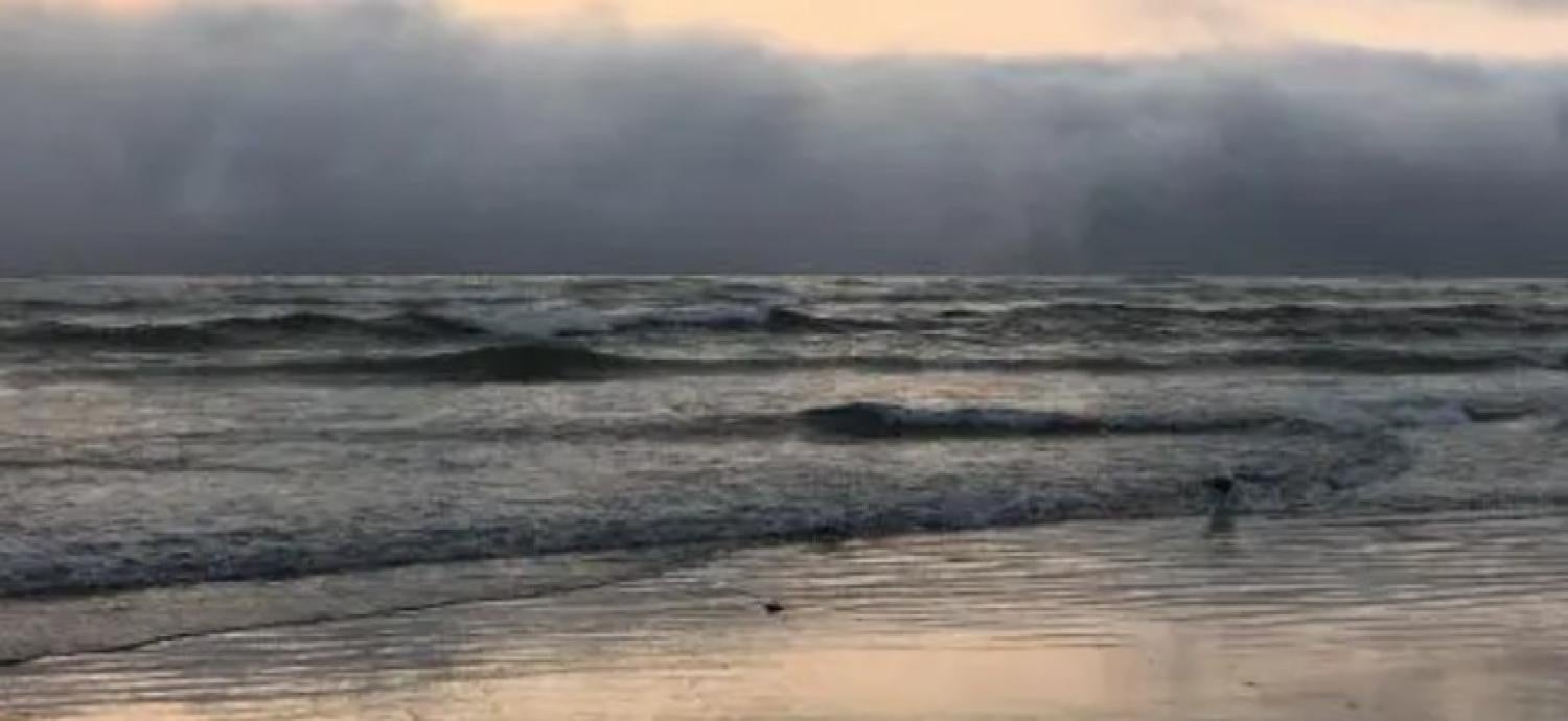 Ocean