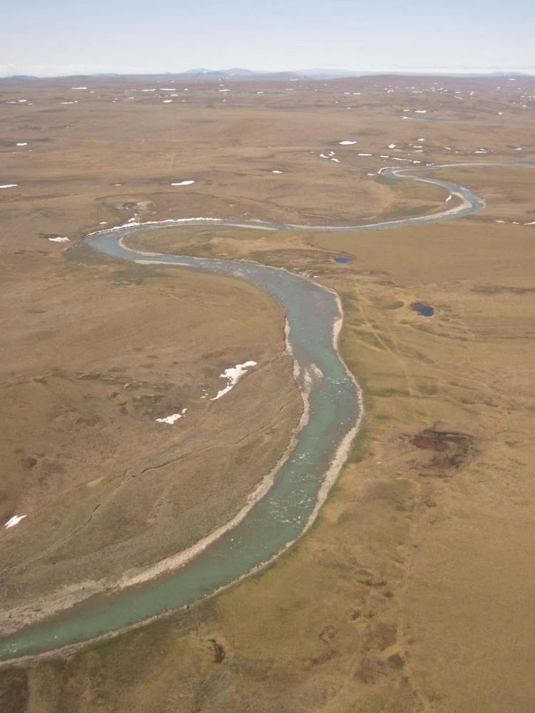 As rising temperatures affect Alaskan rivers, effects ripple through ...