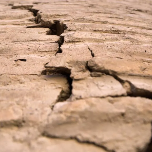 A crack in the brown Earth.