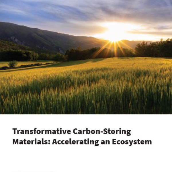 Cover page of the report.