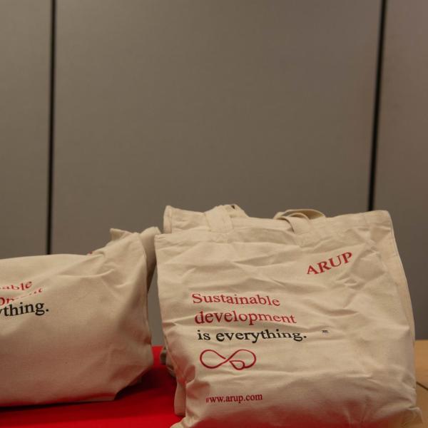 Cloth bags that say "Sustainable Development" on them 
