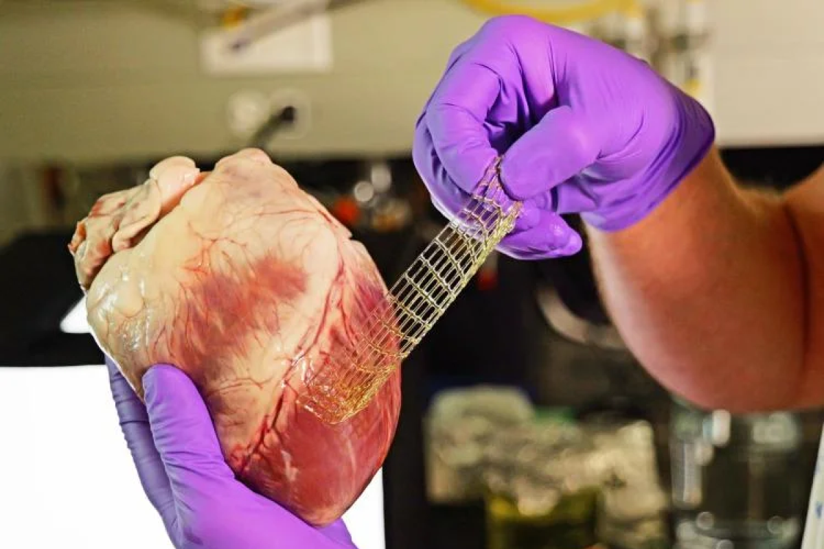 Biotech heart and bandaid