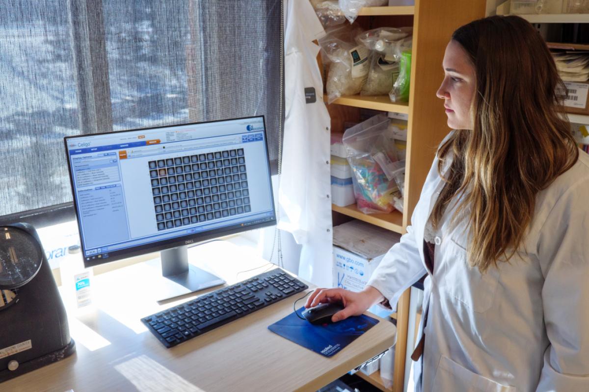 Student at computer