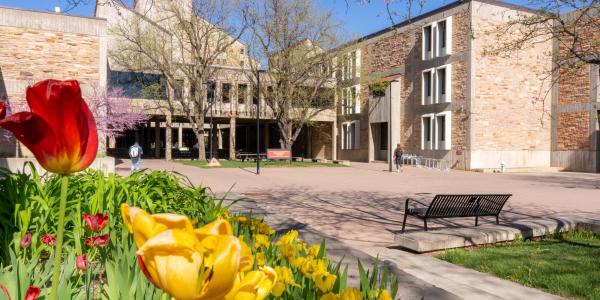 CU Engineering Center with tulips in front of it