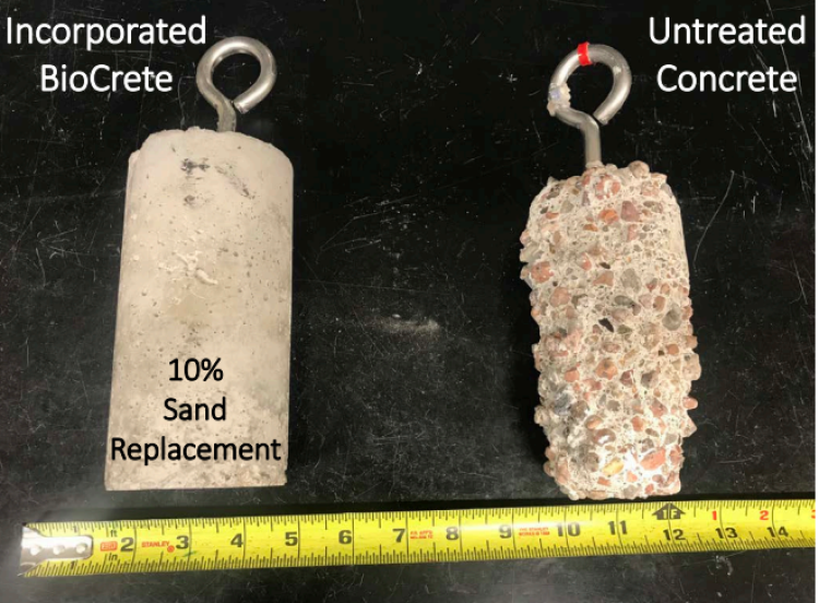 Prof. Hernandez Concrete Project