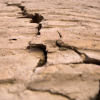 A crack in the brown Earth.