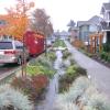 Rain garden