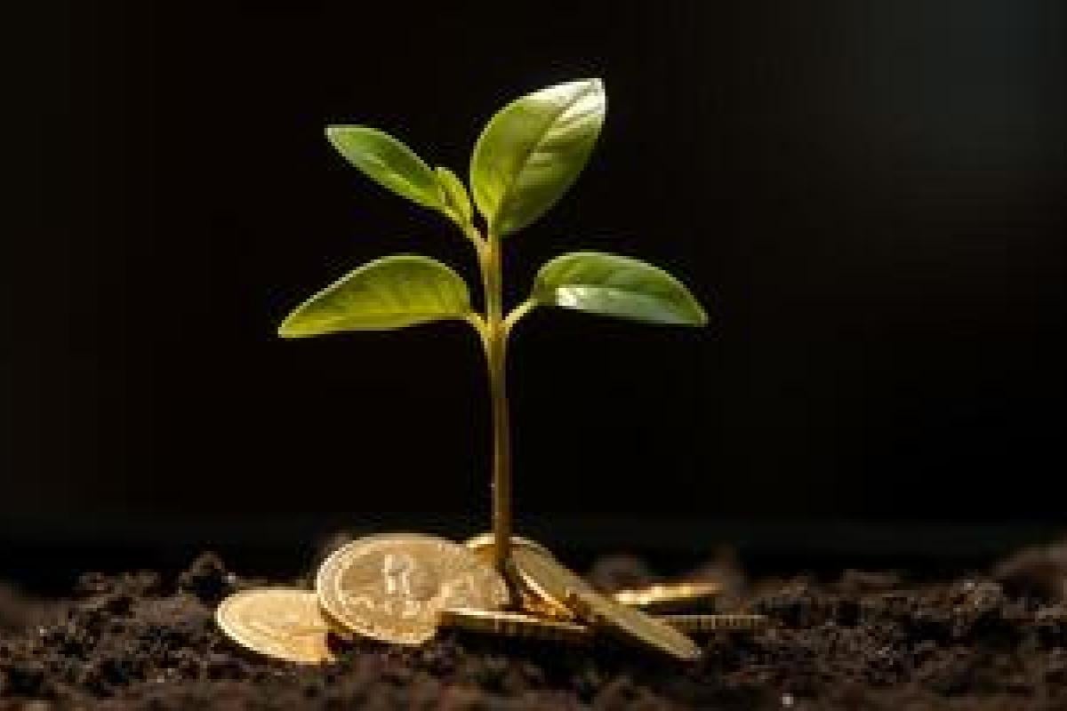 Funding dates and deadlines