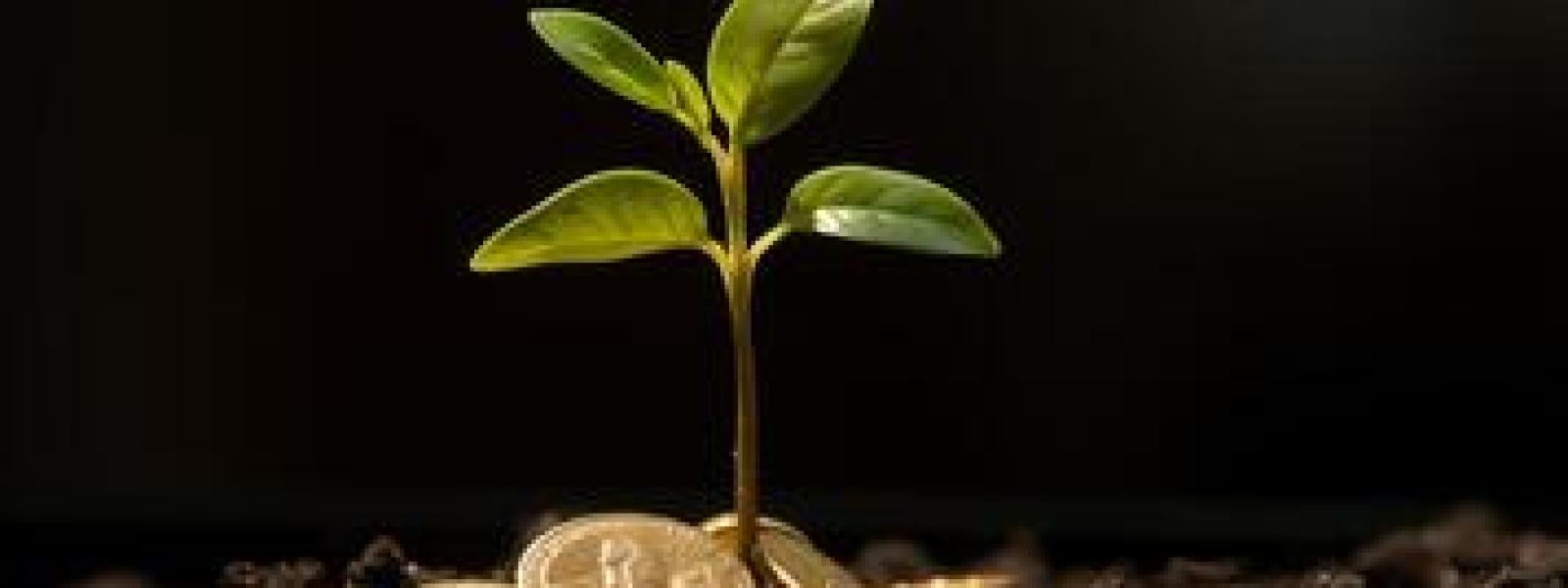 Funding dates and deadlines