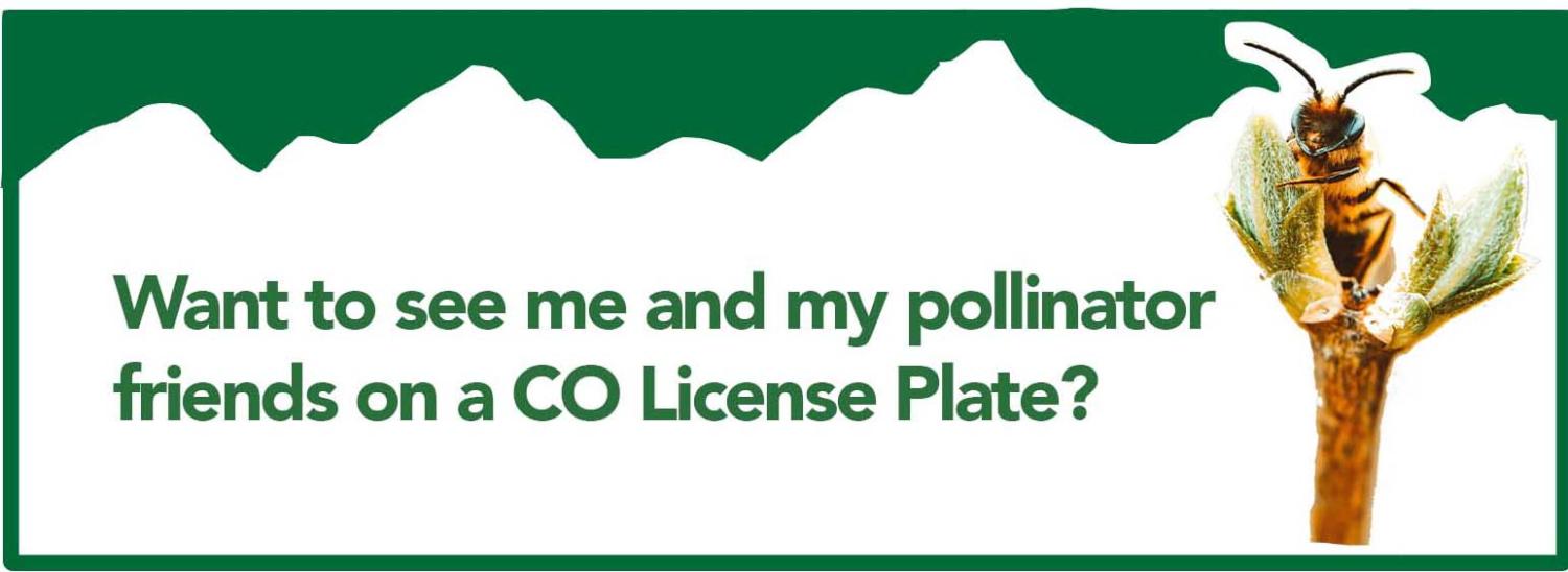 Want to see me and my friends on a new Colorado pollinator license plate?