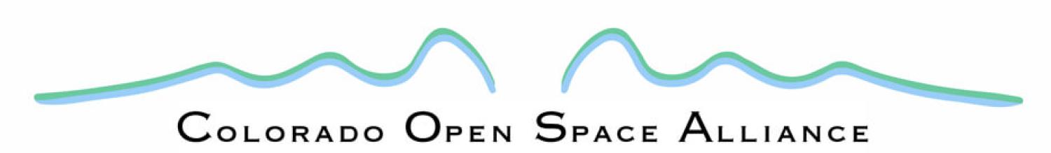 cosa-logo