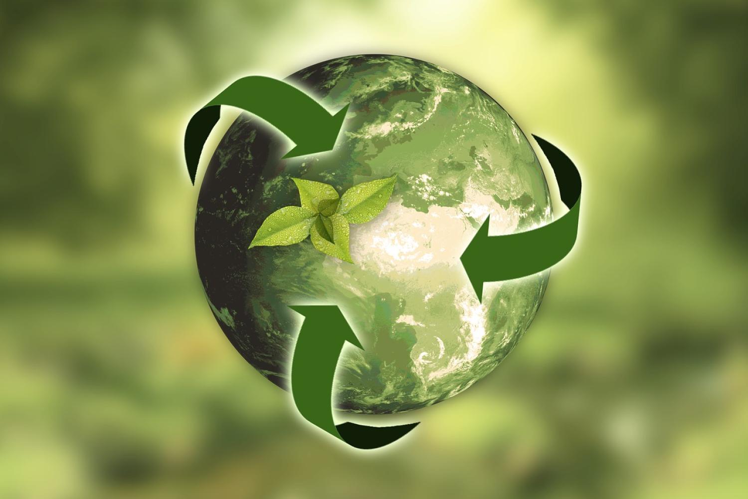 Green globe with green arrows pointing to the center of it.