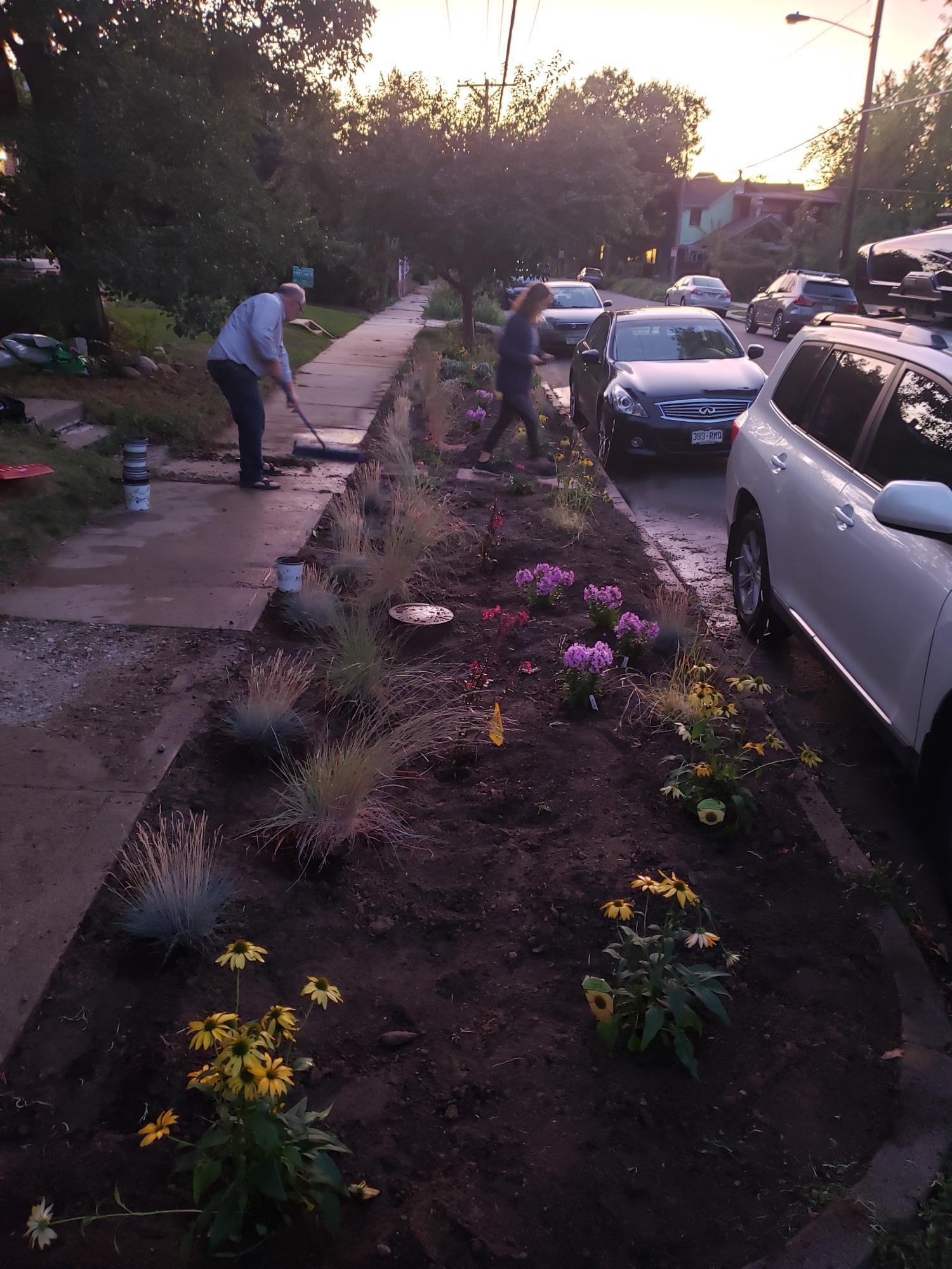 Completed rain garden