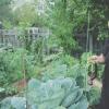 Isabel Sanchez in her garden at Mapleton Mobile Home Park