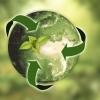 Green globe with green arrows pointing to the center of it.