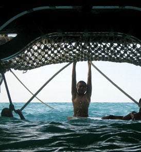  The View from a Canoe
