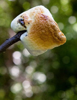  The Perfectly Toasted Marshmallow