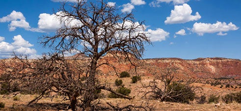 The Southwest's Most Important Number