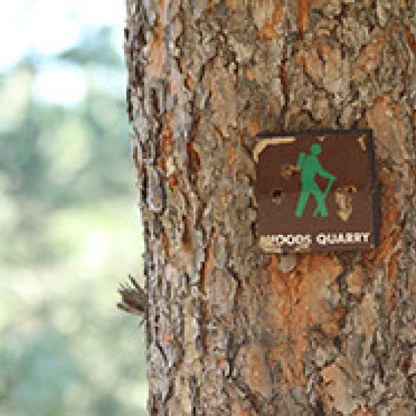 Hiking sign on tree trunk