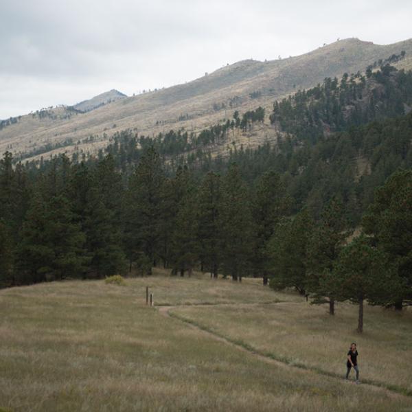 Meadow view with mountains in the background and a hiker on a trail