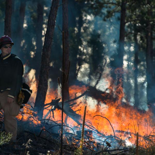 Heil Ranch controlled fire