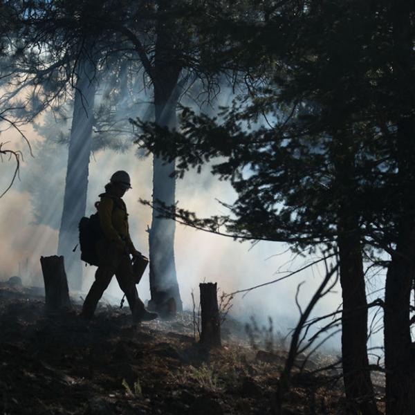 A fireman walks at the edge of controlled fire, through smoke