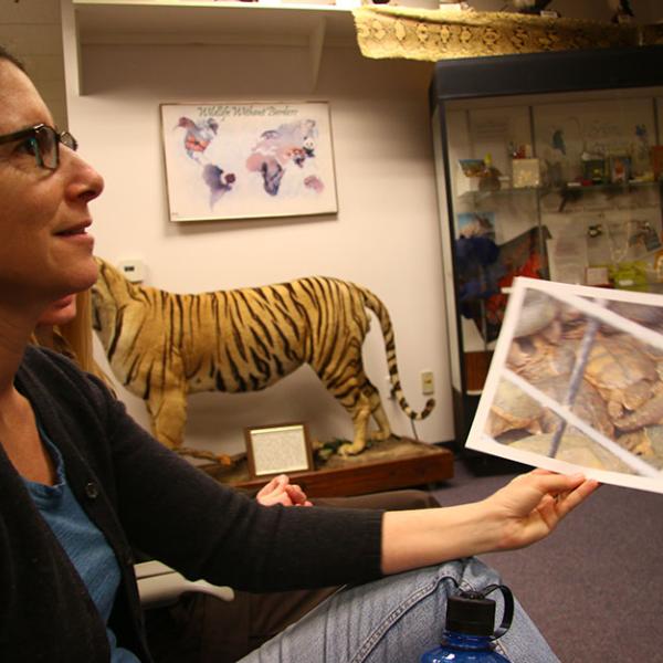 Scripps Fellow in Environmental Journalism Naomi Lubbick at the Wildlife Property Repository.