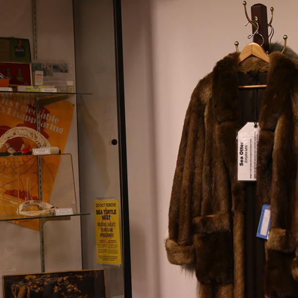 Fur coats made from endangered species that were confiscated by agents with the U.S. Fish and Wildlife Service are on display at the repository.