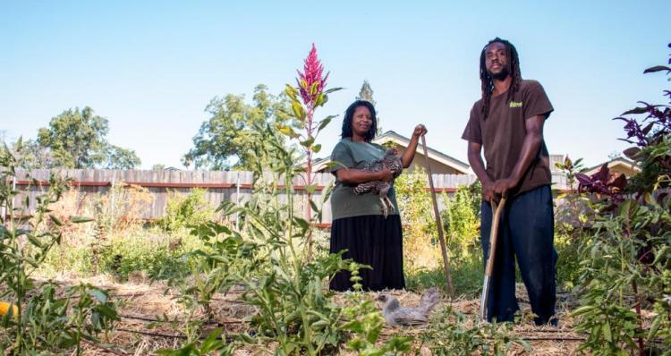 Grow Your Own Way