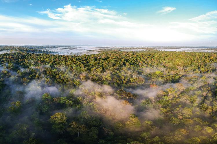 Camp Amazon: Inside the 'lungs of the Earth'
