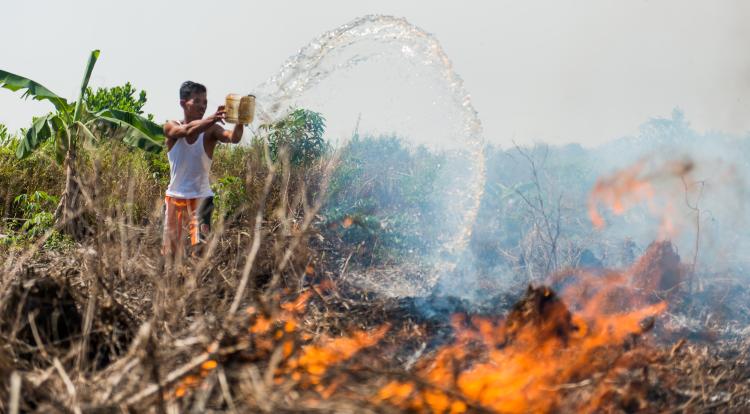 Indonesia Is Still Burning by Michael Kodas | TakePart.com